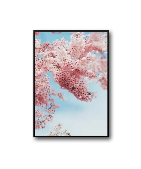 Spring Frame – Image 2