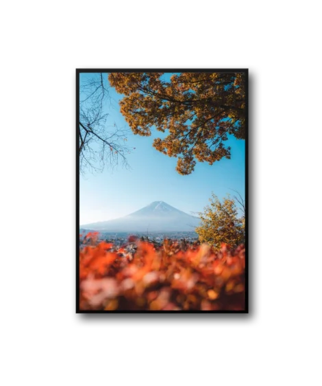 Spring Frame – Image 3